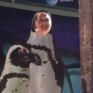 Meet your Posher, Evelyn